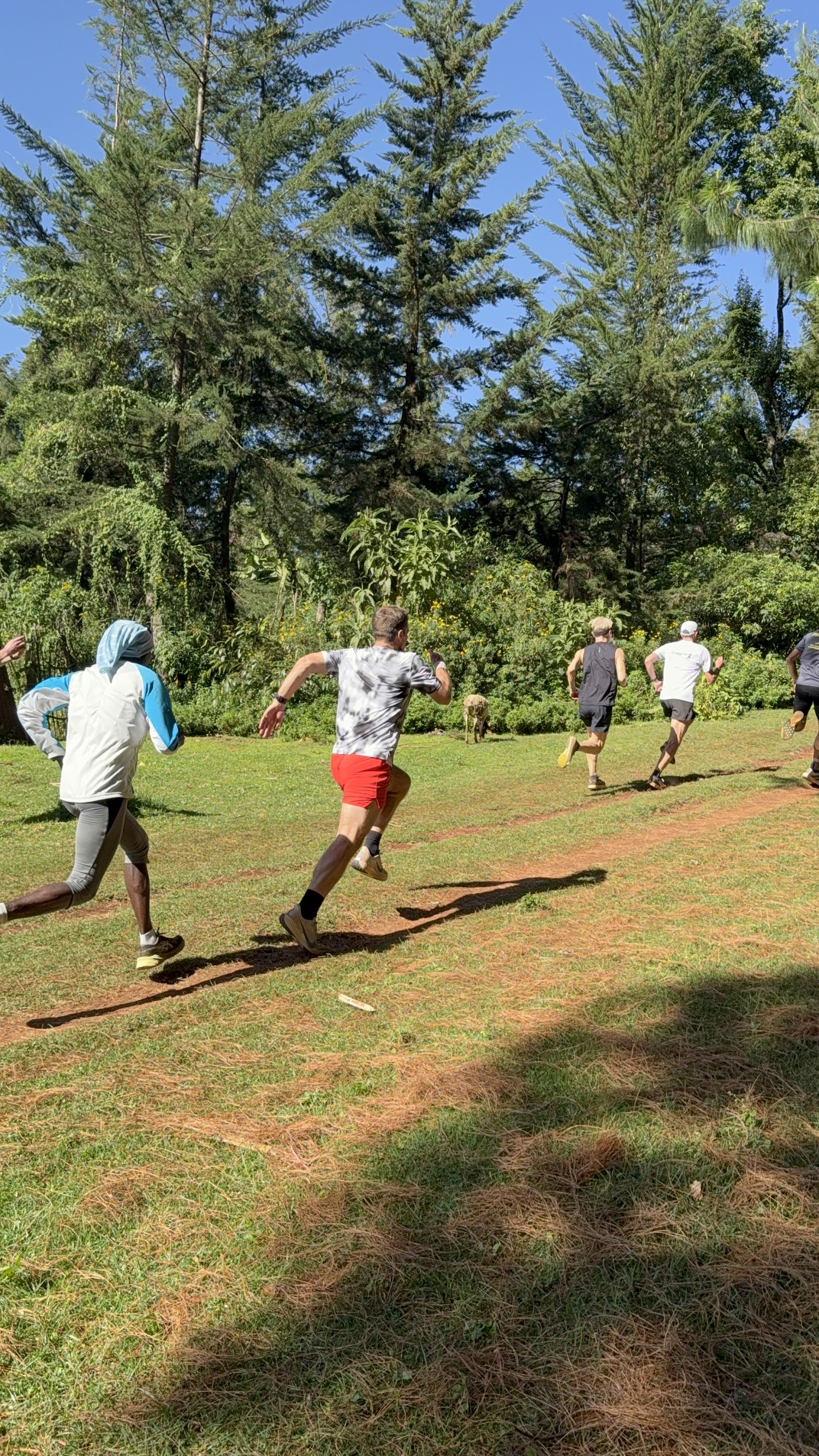 Run Stark Kenya training group and local scenery